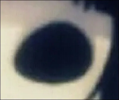 À qui appartient cet il ?