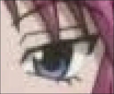 À qui appartient cet il ?