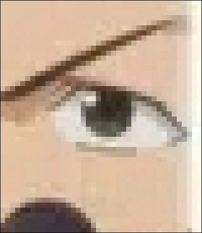 À qui appartient cet il ?