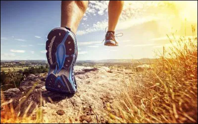 Je crois qu'il faut laisser __ les chiens.