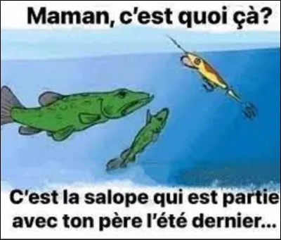 À Concarneau, dans le Finistère, un décret interdit aux navires de pêche de quitter le port après 22 h.