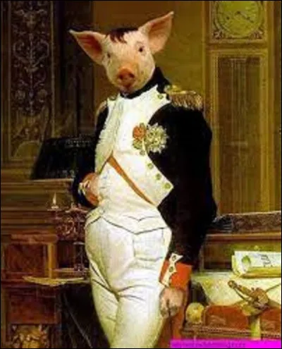 En France, une loi napoléonienne est toujours en vigueur : il est interdit d'appeler son cochon Napoléon.