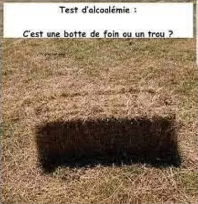 Il est obligatoire d'avoir une botte de foin chez soi.