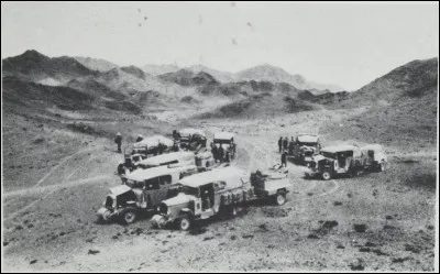 Comment sont les yeux des crocodiles pour Katherine Pancol ?