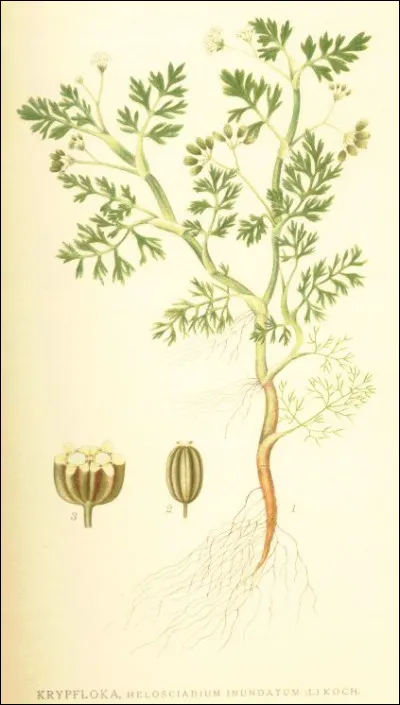 Quel livre de Laurent Binet a re&ccedil;u le prix Goncourt du 1er roman ?