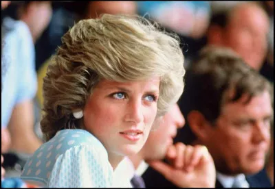 Diana s'est beaucoup investie dans les associations : chassez l'intrus :