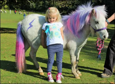 Quelle est ta cavalière préférée ?