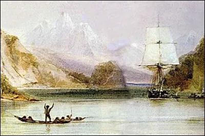 Combien d'espèces de pinsons ont été découvertes par Darwin ?