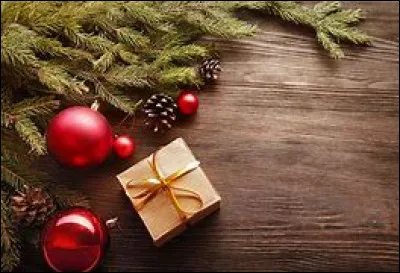 Que manges-tu au repas de Noël ?
