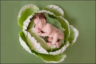 Selon la légende, les garçons naissent dans les choux, où les filles naissent-elles ?
