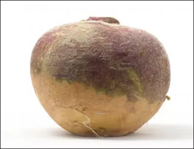 Sous quel nom connait-mieux ce chou de Siam ?