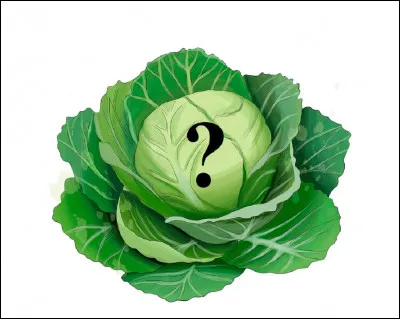 Si vous avez échoué à ce quiz, quel type de ''chou'' avez-vous fait ?