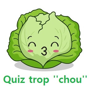 Quiz Culture gnrale