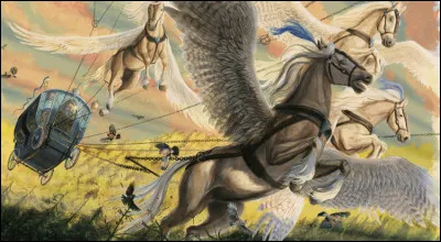 Les chevaux ailés tirant le carrosse de Beauxbâtons n'aiment boire qu'une seule chose, c'est...