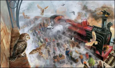 À Hogwarts, il existe un écolier un peu maladroit perdant souvent son animal, dans le Hogwarts Express par exemple. Quel est l'animal en question ?