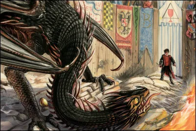 Des dragons dans l'école ! Au feu ! Au feu ! 
Du calme, ils sont juste là pour le Tournoi des Trois Sorciers. Chaque dragon a un numéro ; le combientième est celui de Harry Potter ?