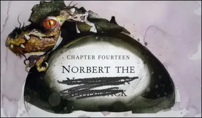 Encore des dragons, cest une invasion ou quoi ? !
Regardez ! Cette image nest pas complète, cest écrit : Norbert le Le quoi ?