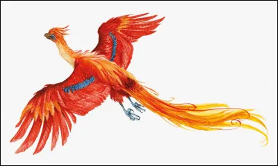 Bien sûr nous connaissons tous le phénix de Dumbledore, Fawkes. Mais grâce à quoi les phénix peuvent-ils soigner des blessures ?