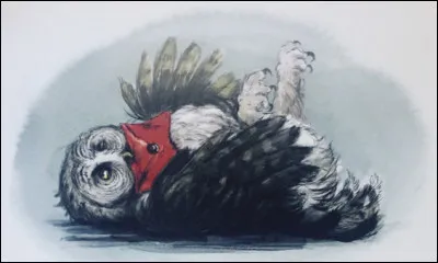 Quel est le nom du hibou de la famille Weasley ?