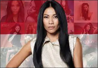 Complétez le titre de cette chanson : "La neige au...