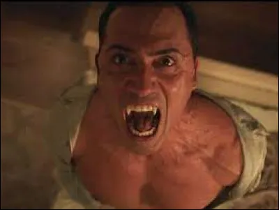 Quel est le thème de ce film ?