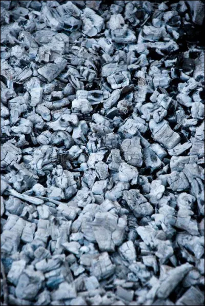 En quelle année Axl Cendres est-elle décédée ?