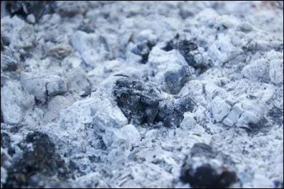 Comment le fils de Rosalia s'appelle-t-elle dans "Les Cendres du passé" ?