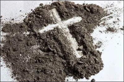 Lequel de ces termes désigne l'espèce pseudomys albocinereus ?