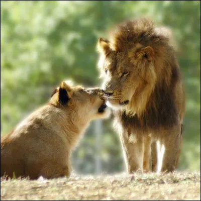 A quelle commune celle de Sauvage-Magny a-t-elle été rattachée ?