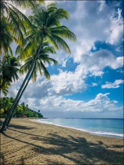 Quand tu arrives à la plage/à la piscine, que fais-tu ?