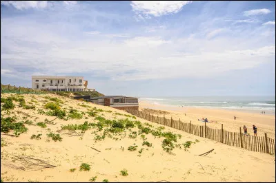 Et enfin, si tu étais juge d'un concours de sculptures de sable, qui désignerais-tu comme gagnant parmi eux ?