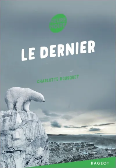 Quel est ce livre de Charlotte Bousquet ?