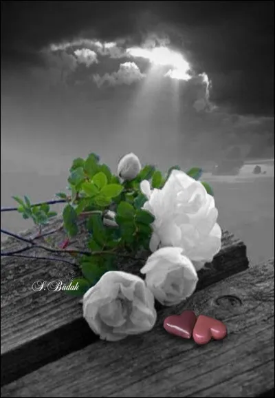 Quel groupe chantait "Donne-moi encore un dernier baiser..." ?