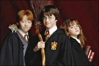Le professeur préféré de Harry est...