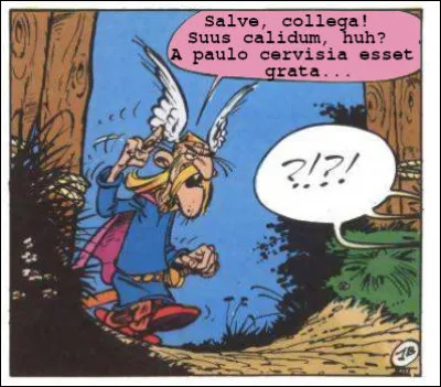 Mais dans la bouche d'un vieux chef gaulois comme Moralélastix, cela fait encore plus bizarre, non ?