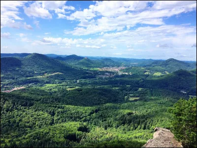 Où se situe la forêt palatine ?