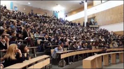 Après la maternelle il y a la fac.