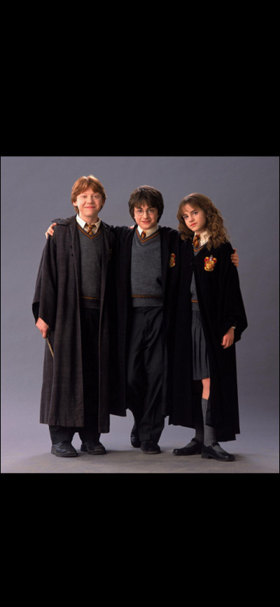 Qui sont les deux meilleurs amis de Harry Potter ?