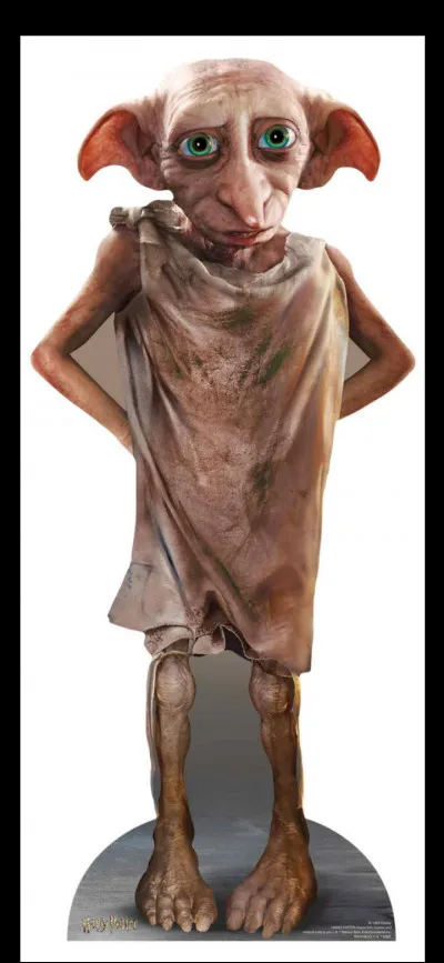 Comment s'appelle l'elfe de maison de Harry Potter ?