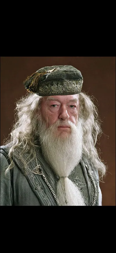 Comment s'appelle le directeur de Poudlard ?