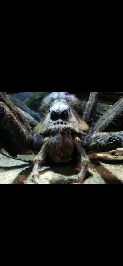 Qui est la créature nommée Aragog qui vit dans la forêt interdite ?