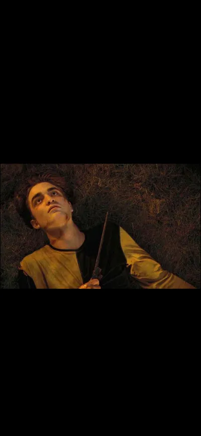 Dans le film n°4, qui meurt à la fin du Tournoi des Trois Sorciers ?