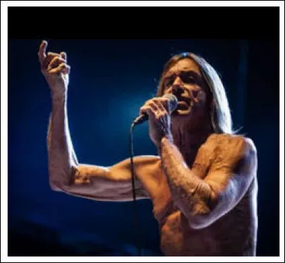 Iggy Pop > "L'Iguane" passerait-il ses loisirs avec ses congénères ?