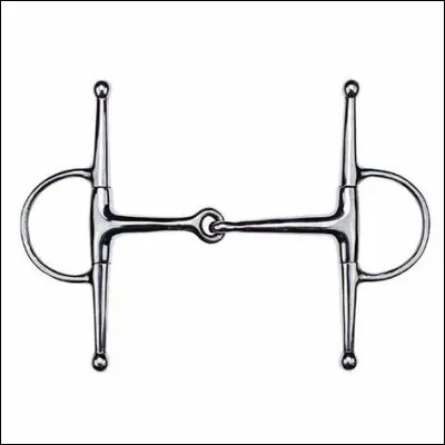 Comment s'appelle ce mors ?