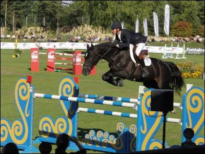 Comment s'appelle cet obstacle ?