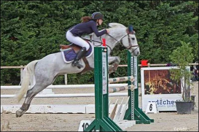 Comment s'appelle cet obstacle ?