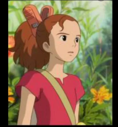 Qui est cette fille ?