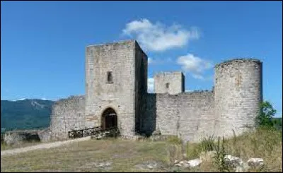 Je vous propose de partir à la découverte du château de Puivert. Village occitan au pied des Pyrénées, en pays cathare, il se situe dans le département ...