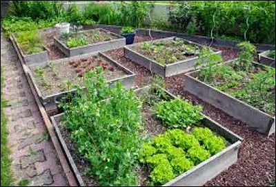 Dans le potager de Philippe, il y a 5 rangées de 30 tomates ainsi que 3 rangées de 22 melons. Combien y a-t-il de tomates ?