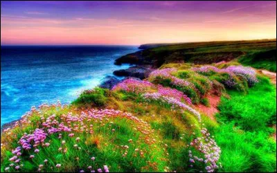 Quel célèbre homme d'Etat a fait une attaque cérébrale le 1er mars 1953 ?